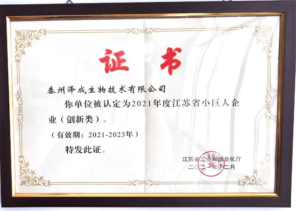 江苏小巨企业